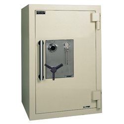 American Security CE3524 AmVault TL-15 Safe 