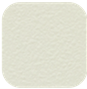 Textured White