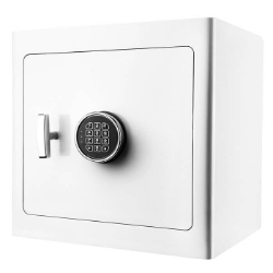 Barska AX13104 White Jewelry Safe - Tan Interior 