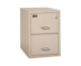 Fire King 2 Hour Rated File Cabinet 2 Drawer - Legal - 2-2130-2