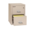 Fire King Classic Vertical File Cabinet - 2 Drawer - Letter - 31" Depth - 2-1831-C