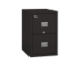 Fire King Patriot Vertical File Cabinet 2 Drawers - 2P1831-C697521576314