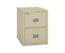 Fire King Patriot Vertical File Cabinet 2 Drawers - 2P1831-C697521576314