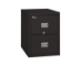 Fire King Patriot Vertical File Cabinet 2 Drawers - 2P1831-C697521576314
