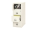 Fire King Safe-In-A-File Cabinet 4 Drawers - 4-2131-C SF