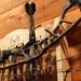 Rush Creek REALTREE 2-BOW 12-ARROW WALL RACK - 39-4003