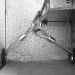 Stealth Tactical - Dorm Safe V5.0 - STL Dorm Safe 5.0 NL
